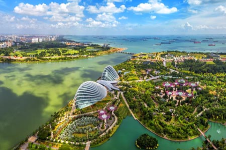 летние курсы летние курсы